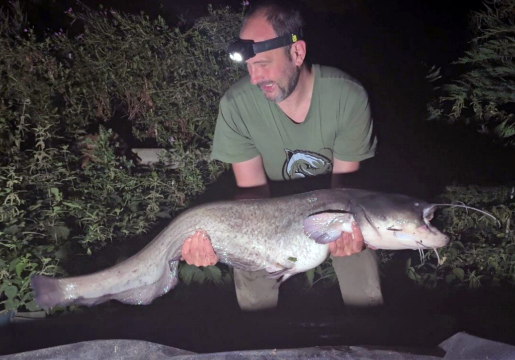 Screenshot 2026-03-18 191857