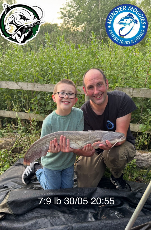 Screenshot 2026-03-18 192133