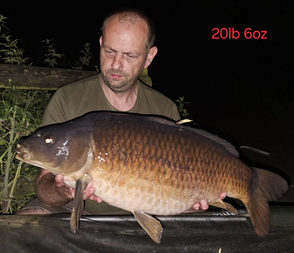 23322d0f-81b4-47aa-9694-ade096601cd2