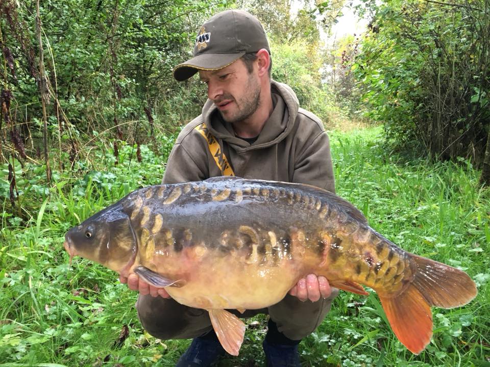 32160288_1686640138122866_7176981233123983360_n