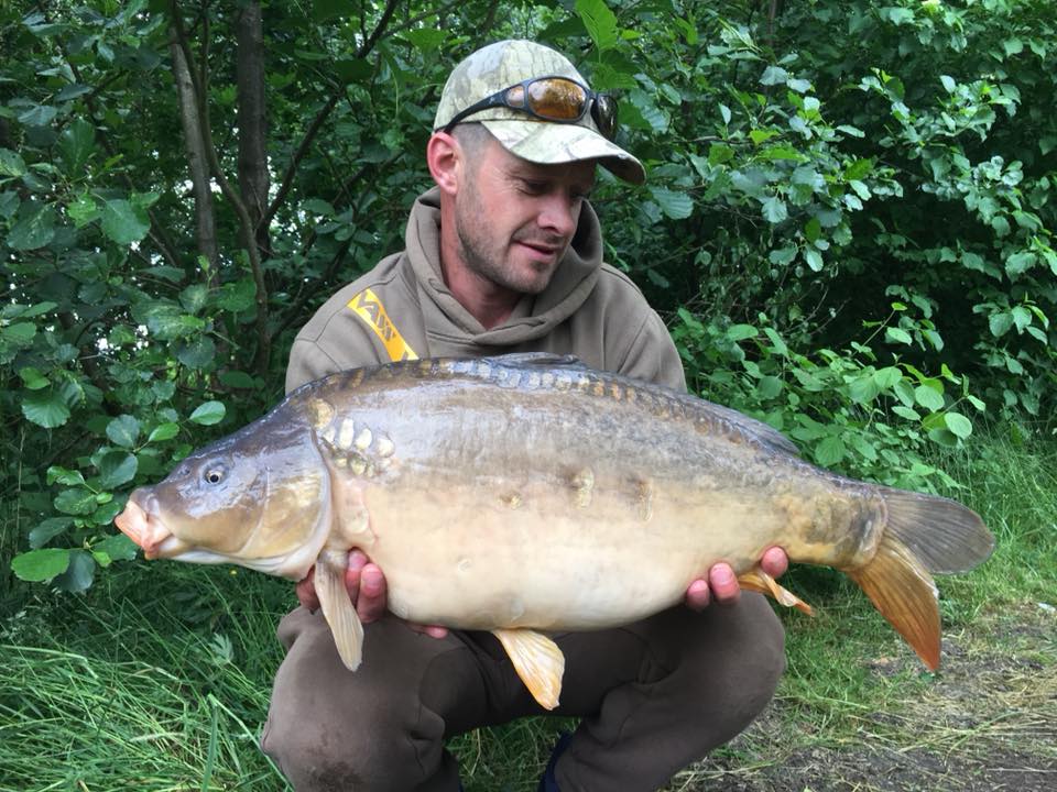 35358707_1066292266854847_8838698359049945088_n