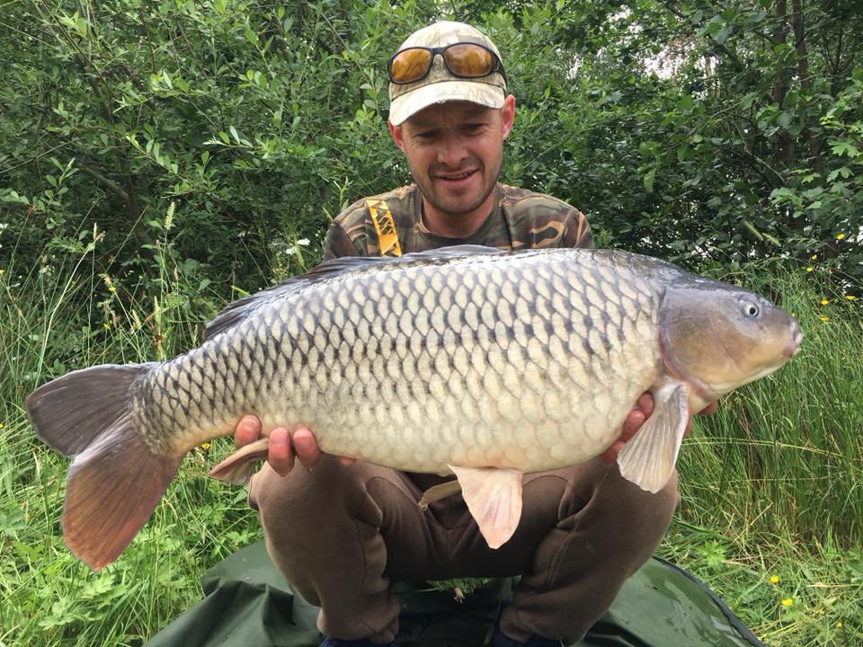 35428363_1067065113444229_4241341979314618368_n