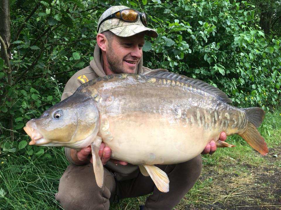 35479357_1066501630167244_6542821537978777600_n