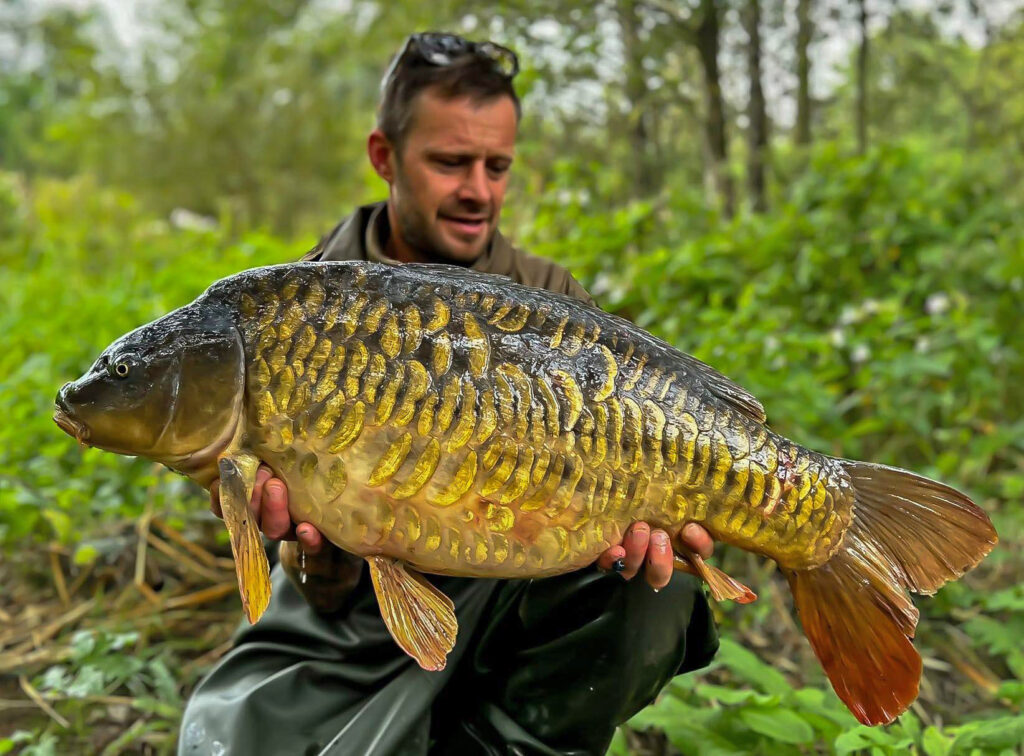 373474302_1038582037284642_617076929826996071_n (1)