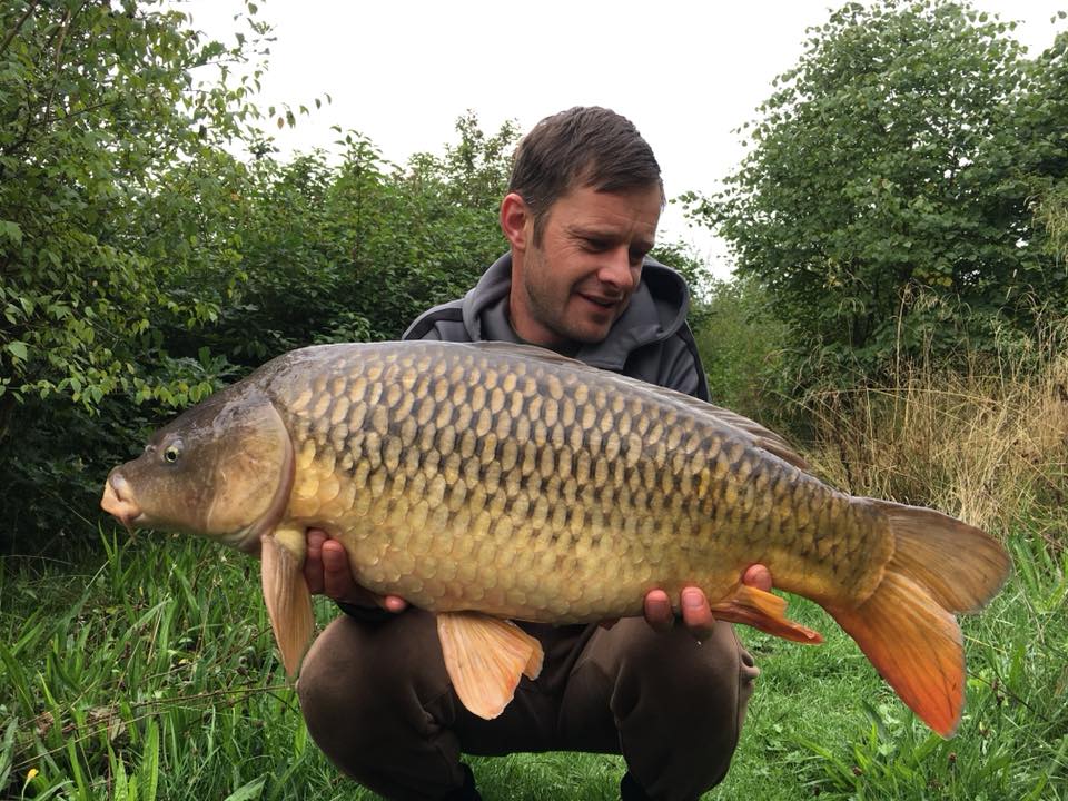 40178320_1146035858880487_1617266284586598400_n