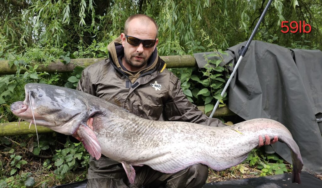 41005134-7dcc-478e-8cd0-d794376bebf8