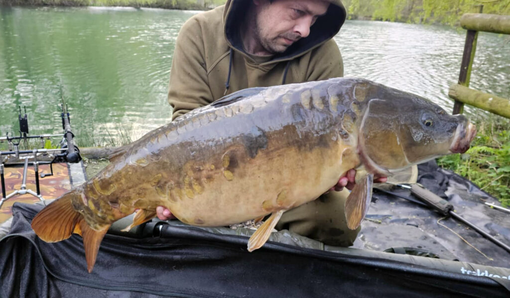 428020a7-3997-4a6e-acd2-504a2b426d12