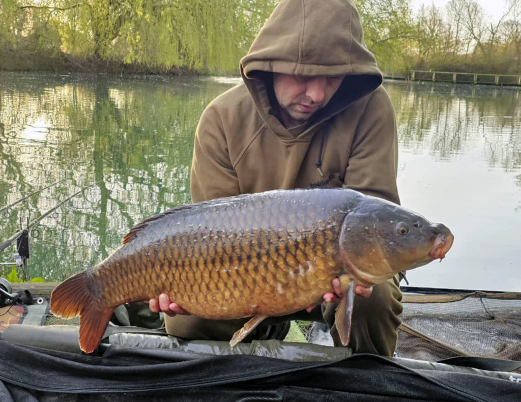 4a4c18d7-e66f-4710-9ed5-4b4dc4e55231