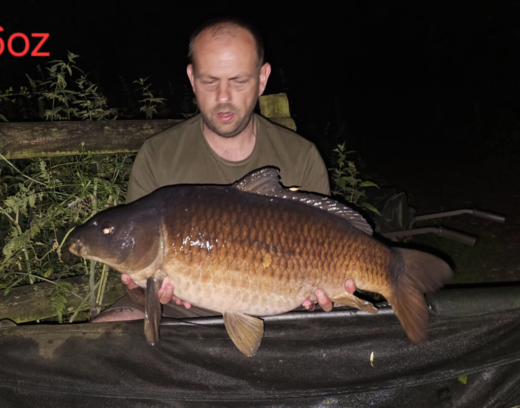 4d274c17-e8ff-443e-9844-2049a8b5d340