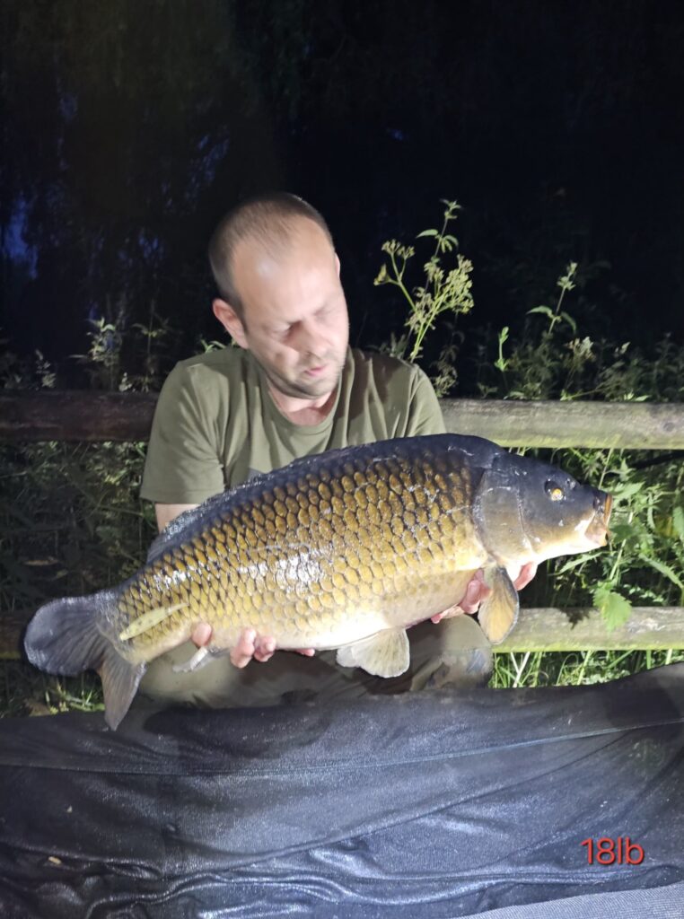 5dfcf0ef-8bc4-49fb-a8fc-c74c2e00240a