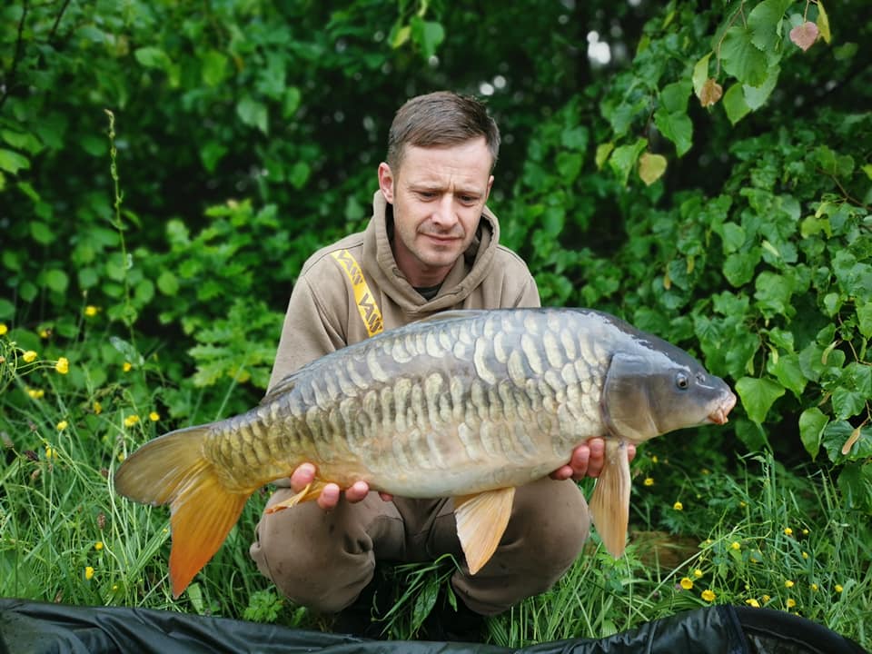 62007885_1339631569520914_6227210693775458304_n