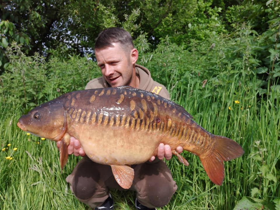 64247499_2308910909229116_1358649334278651904_n