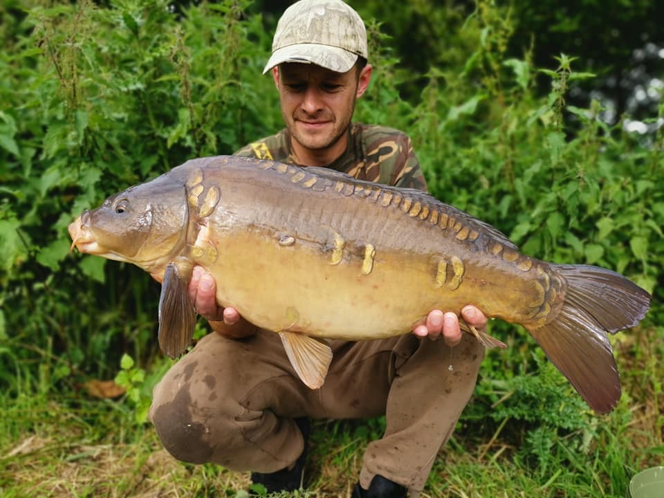 65303556_1357559177728153_8170605213925769216_n