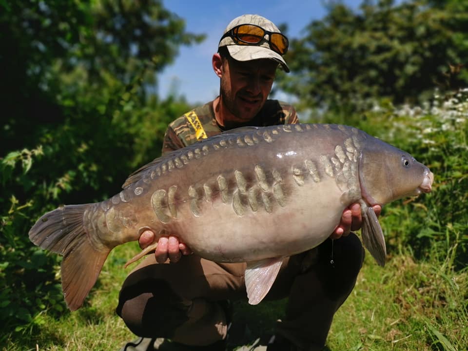 65540258_1356892371128167_2769638080624197632_n