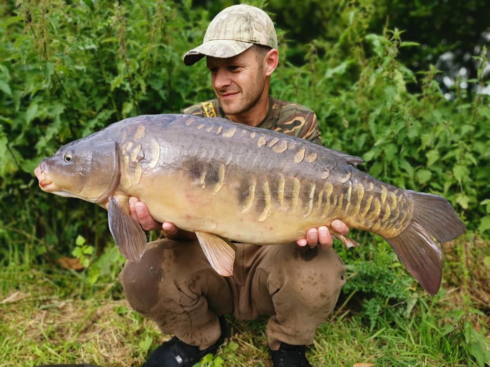 65549867_1357555907728480_1120153919205408768_n