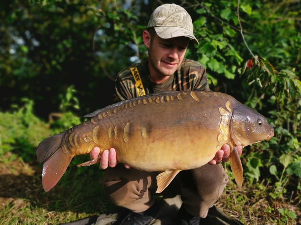 65600244_1356732954477442_6253217712890183680_n