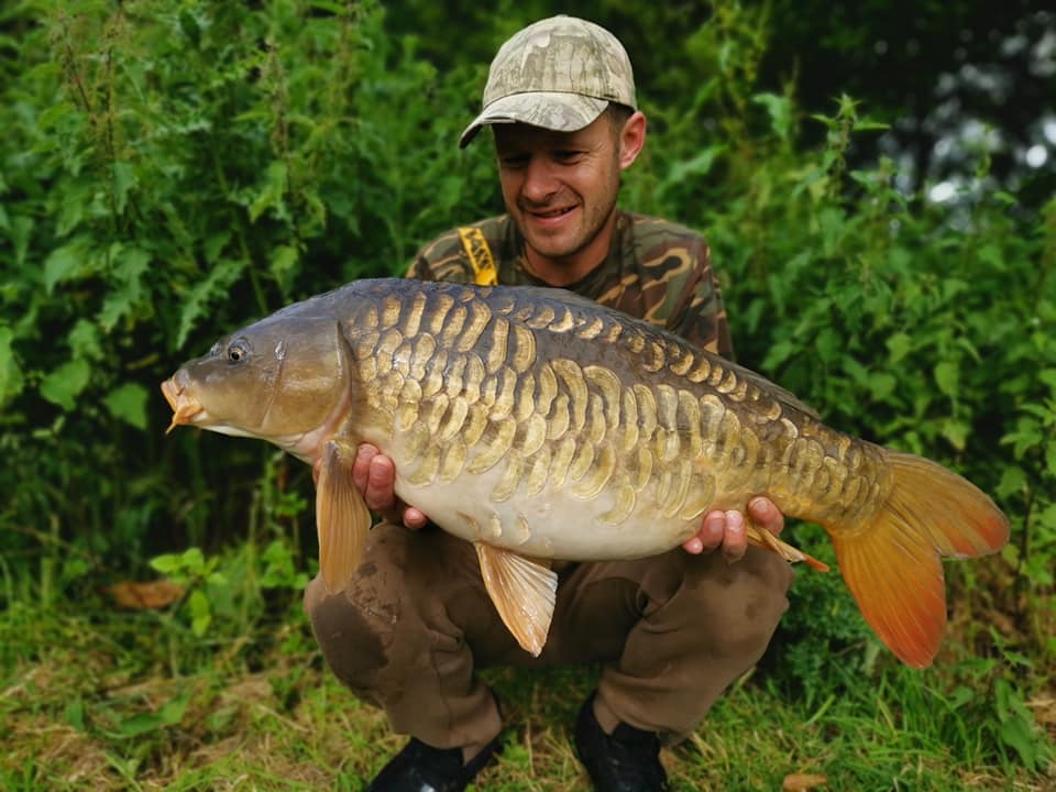 65736853_1357560267728044_456485698497675264_n