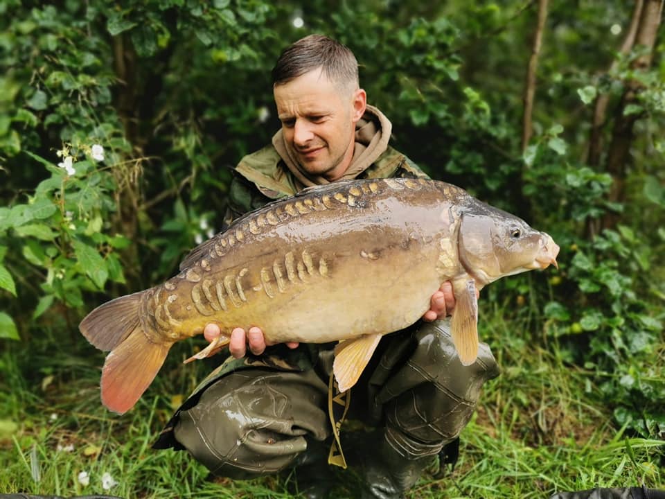 68589464_1389023441248393_7733815453763502080_n