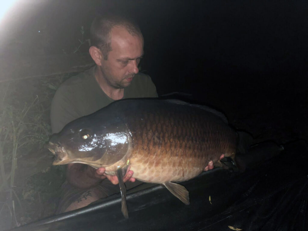 77a45b36-ec5b-4ab6-ac00-585c94d79881