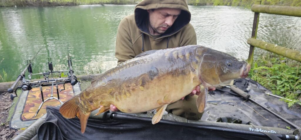 7ab19376-9f19-45d5-8e2a-a6f3dfa736fb