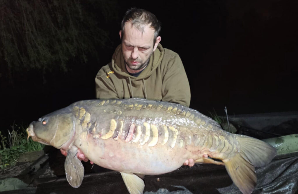 850e3c8f-dda8-45f1-a02e-15738b0e8905