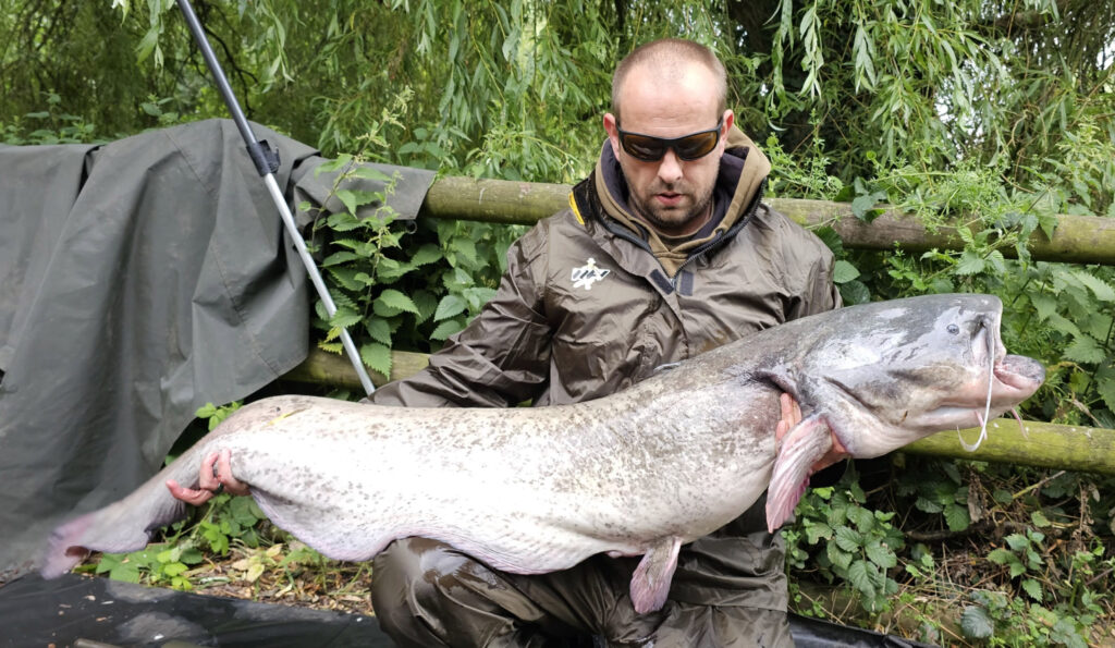 c651ac31-0c5c-4ed6-ad4a-47a969ca62b5