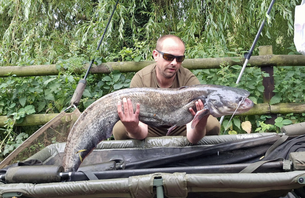 d7d081f8-d804-40aa-8ea1-cf36b140994b