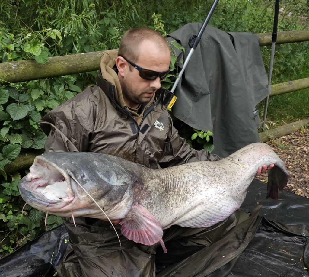 e6b9c115-39d4-4d9d-aaa7-eddb1d67997c